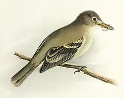 alternativní popis obrázku chybí