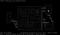 NetHack