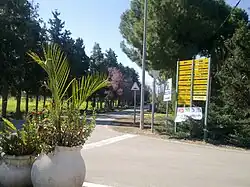 Ulice v Netiv ha-Šajara