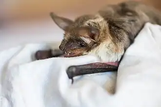 alternativní popis obrázku chybí