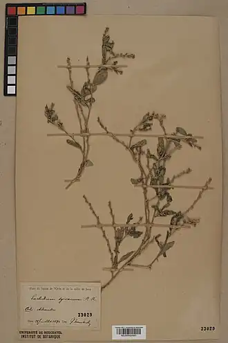 alternativní popis obrázku chybí