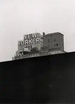 New Yorker, New York