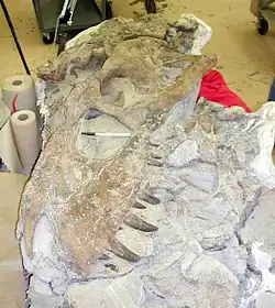 alternativní popis obrázku chybí