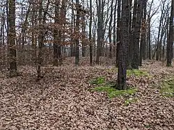 Nižbor - hradiště Na Žlubinci (1).jpg