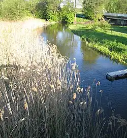 Nieda u Kapčiamiestisu