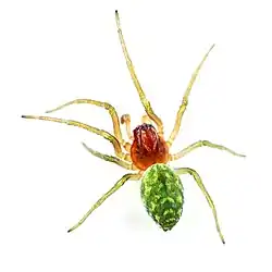 alternativní popis obrázku chybí