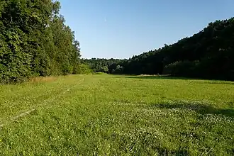 Niva potoka u Sovínek