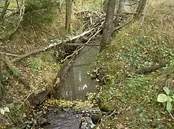 Jihozápadně od Nové Vsi