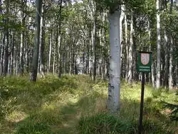 Nořičí hora od sedla se Zmrzlým vrchem