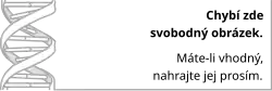 Chybí zde svobodný obrázek