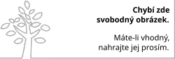 Chybí zde svobodný obrázek