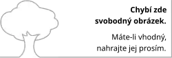 Chybí zde svobodný obrázek