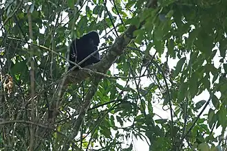 popis obrázku chybí