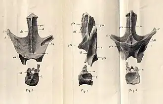 popis obrázku chybí