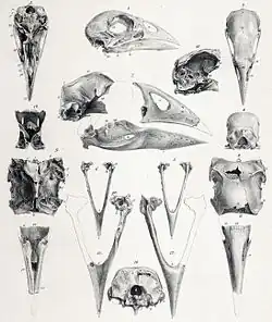 alternativní popis obrázku chybí