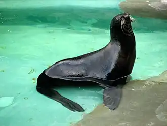 alternativní popis obrázku chybí