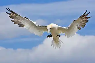 alternativní popis obrázku chybí