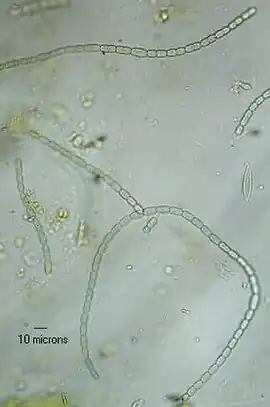 alternativní popis obrázku chybí