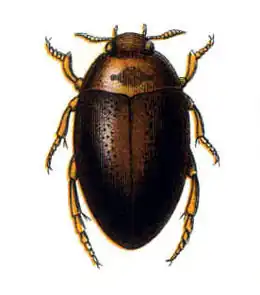 alternativní popis obrázku chybí