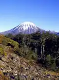 Stratovulkán Ruapehu