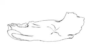 alternativní popis obrázku chybí