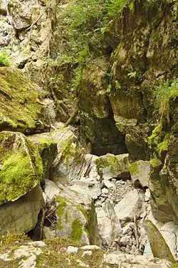 Propadání Nová rasovna