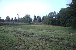 Šafránová louka, PP U Bezděkova