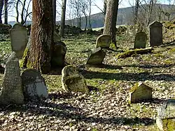 ŽH Nové Sedliště