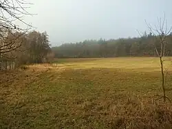 Louky v oboře Libeň