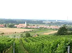 Pohled z vinohradů s dominantou kostela svatého Michaela archanděla