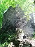 Zřícenina Nový hrad