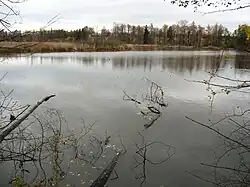 Nový rybník u Soběslavi