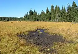 Území PR Nová louka