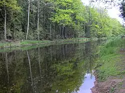 Lužnice – Nová řeka, poblíž obce Stříbřec (2007)