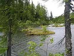 Nové Štrbské pleso s ostrůvky rašeliny, 2017