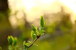 Jaro ve Futožském parku
