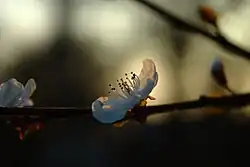 Jaro ve Futožském parku