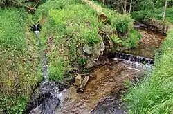 Pod přírodní památkou Rotavské varhany