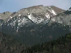 Nový z Tatranské Javoriny