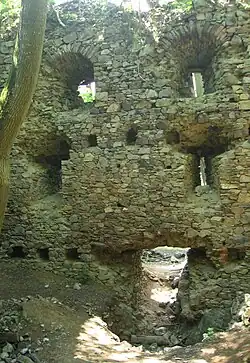 Zřícenina hradu Nový Herštejn