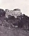 Fotografie Nového hradu u Adamova z počátku 20. století s již sníženou věží