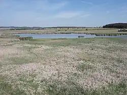 Rybník a umělý mokřad zbudovaný v místě propadliny po zaniklých dolech. Uměle vytvořené hnízdní ostrůvky.