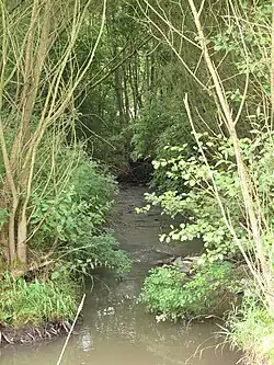 Nučický potok v k.ú. Pyskočely