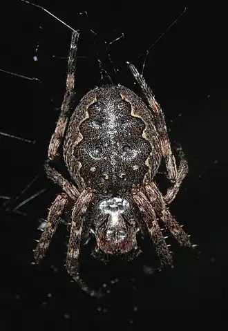 alternativní popis obrázku chybí