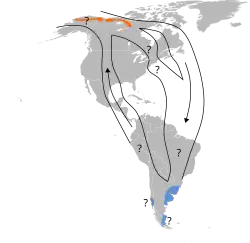 Areál rozšíření
