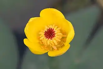 alternativní popis obrázku chybí