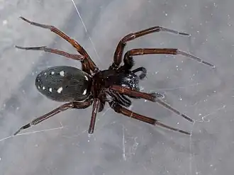 alternativní popis obrázku chybí