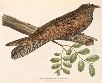 alternativní popis obrázku chybí