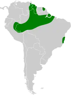 Areál rozšíření