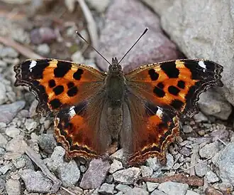 popis obrázku chybí